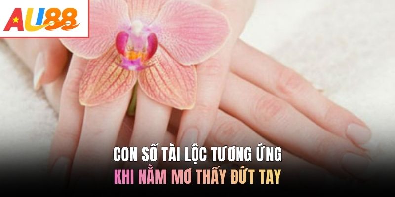 Con số tài lộc tương ứng khi nằm mơ thấy đứt tay
